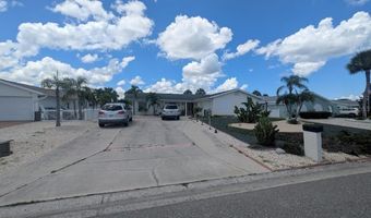 1008 SAGO PALM Way, Apollo Beach, FL 33572