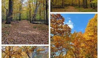 16568 WAGNER Rd, Almira, MI 49650