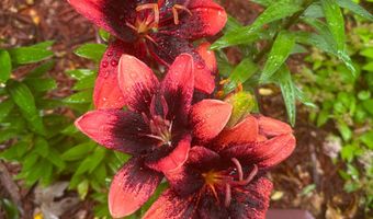 5327 Norris St, Ames, IA 50014