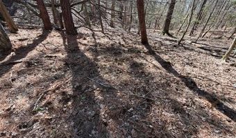 12 68 Acre 99 Rd, Blair, SC 29015