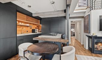 1024 E Cooper Ave 1, Aspen, CO 81611