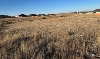 1000 TANNER Dr, Amarillo, TX 79124