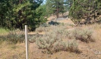40 Acres Off 36N06, Adin, CA 96006