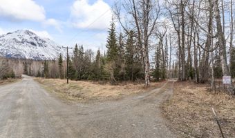 17861 E Chickaloon Rd, Chickaloon, AK 99674