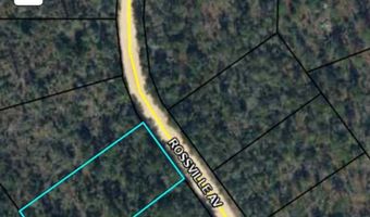 Rossville Avenue, Alford, FL 32420