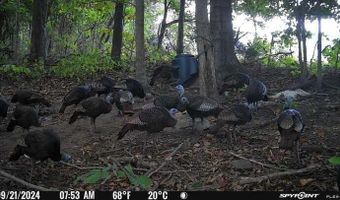 732 Highway 558, Albany, KY 42602