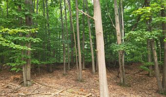 15940 Northwood Hwy, Arcadia, MI 49613