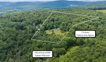 195 Berry Hill Rd, Andes, NY 13731