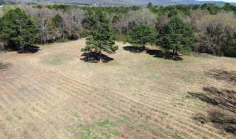 508 N Roseville St, Altus, AR 72821