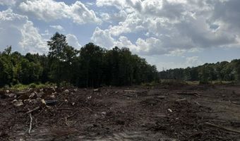SE Cole Drive, Bogue Chitto, MS 39629