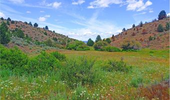 12142 Burns-Izee Rd, Seneca, OR 97873