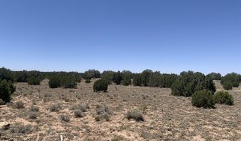 110 Mesa Redondo Ranch Rd, Concho, AZ 85924