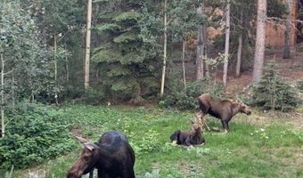 220 Timber Rd, Black Hawk, CO 80422