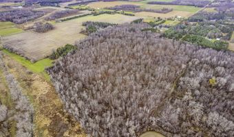 000 Brown, Applegate, MI 48401
