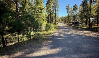 7 2190, Alpine, AZ 85920