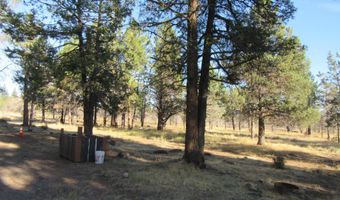 55820 Parazoo Trl, Bly, OR 97622