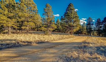 66 Mora Ranch Rd, Angel Fire, NM 87710