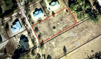 1147 Palmetto St, Bell, FL 32619