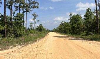 Holly Springs Avenue, Alford, FL 32420