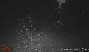 8752 HWY A, Almond, WI 54909