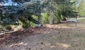 220 N 9th St, Challis, ID 83226