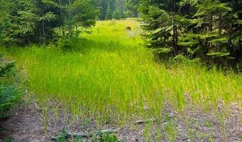 NNA Ginger Ln, Bonners Ferry, ID 83805