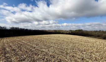 20 Ac. Valley Rd, Argyle, WI 53504