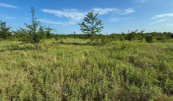Tract 2 Highway 70 Acres, Bennington, OK 74723