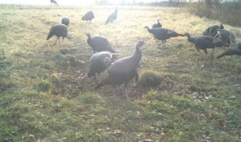 189 Th St, Albia, IA 52531