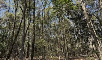 01 Bar M Farm, Andalusia, AL 36421