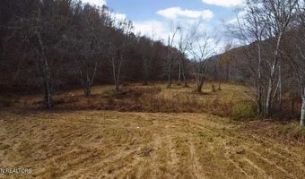 1693 Steve Brown Rd, Bean Station, TN 37708