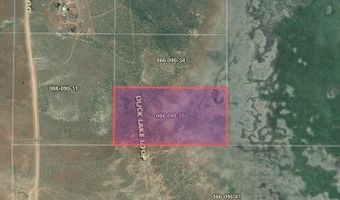 35 Duck Lake Loop, Gerlach, NV 89412
