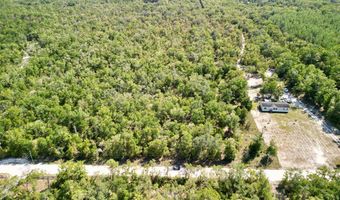 55 Th St, Bell, FL 32619