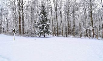 3302 S Ridge Rd E, Ashtabula, OH 44004