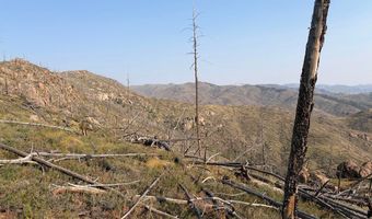 Pine Acres Rd, Bellvue, CO 80512