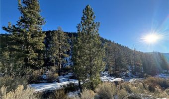 12 Barton Flats Rd, Angelus Oaks, CA 92305