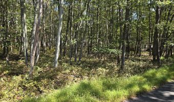 Iowa Road, Albrightsville, PA 18210