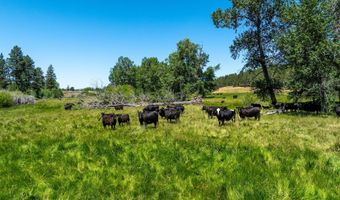 County Road 199, Alturas, CA 96101