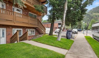 805 E Cooper Ave 2, Aspen, CO 81611