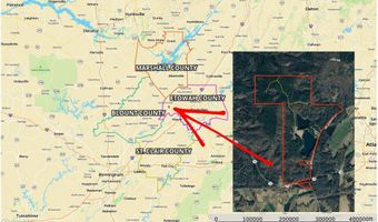 411 DR JENKINS Ln, Altoona, AL 35952