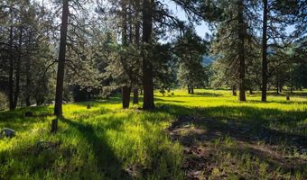10643 CR 501, Bayfield, CO 81122
