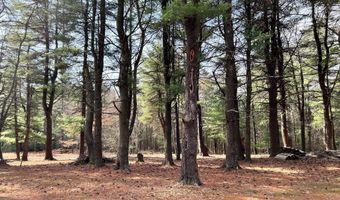 385 ELK CREEK Rd, Aaronsburg, PA 16820