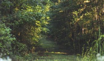 Bill Hubbard Rd, Braxton, MS 39044