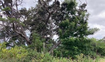 KEAKA PKWY, Ocean View, HI 96737