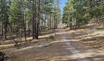 Seal Lane 8, Bonanza, OR 97623