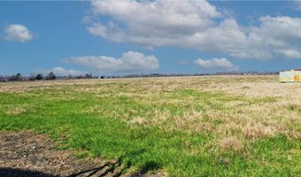 Tbd Tract 4 Fm-2819, Anderson, TX 77830
