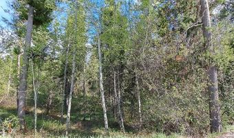 4376 Granite Rdg, Ashton, ID 83420