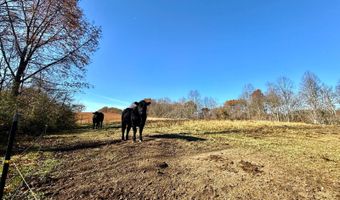 39425 Laurel Rd, Albany, OH 45710