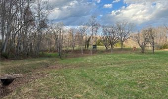 Tbd IKE SLATE LANE, Ararat, VA 24053