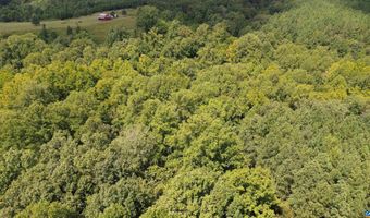 TBA BETTYS BRANCH RD X, Arvonia, VA 23004